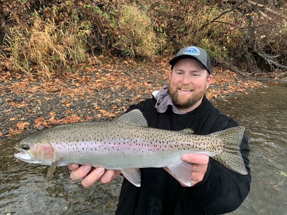 Ben with a nice Lower Sac trout - or is it a steelhead?