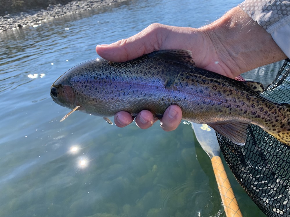 Fishing Report Image