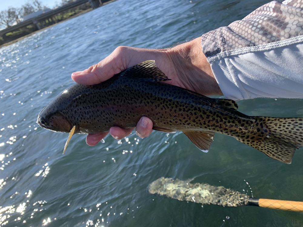 Fishing Report Image