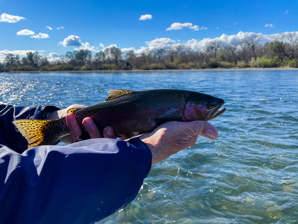 Fishing Report Image