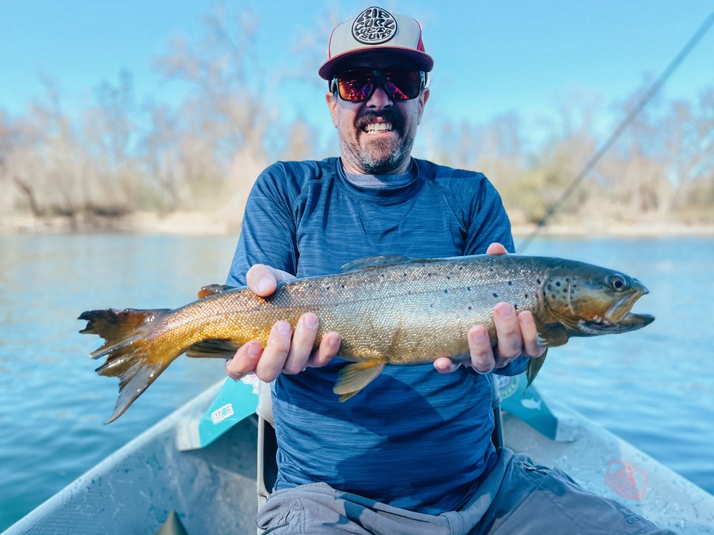 Sean's 22inch brown trout