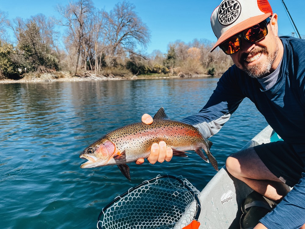 Gorgeous colors on that 'bow!