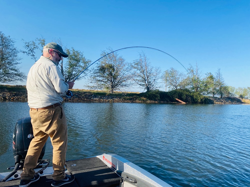 hooked up on a Delta striper