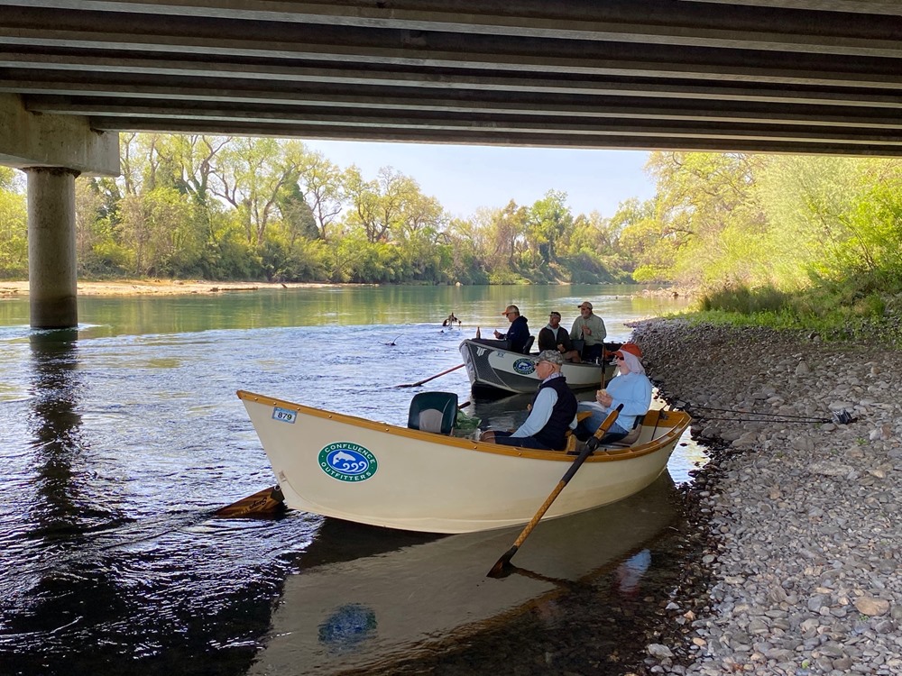 Lunch under the bridge