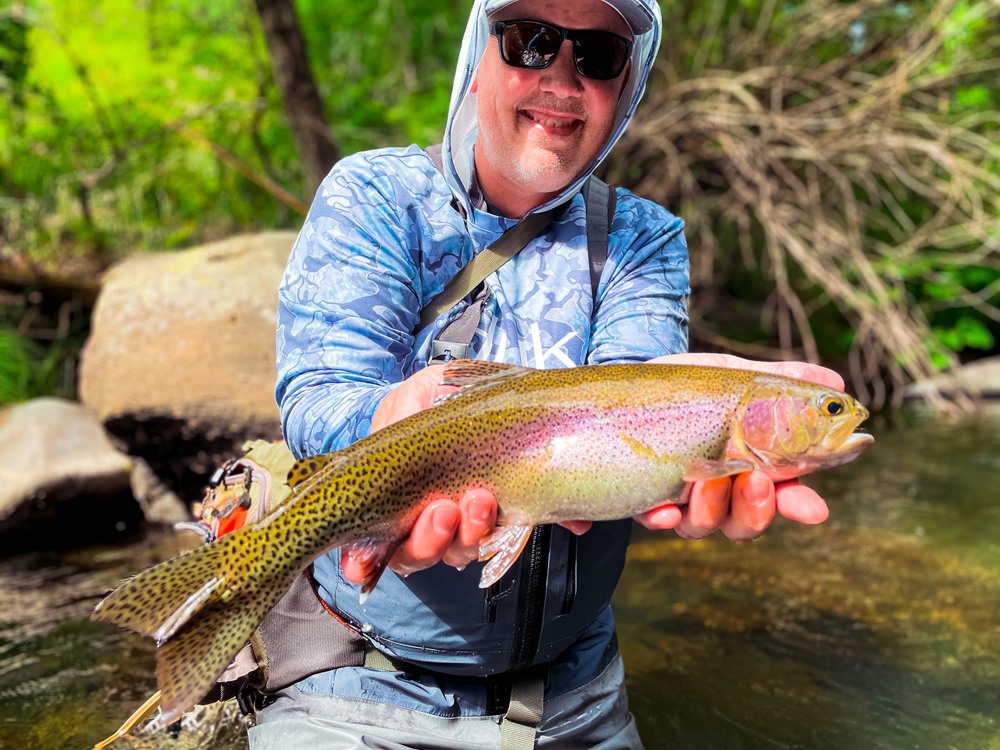 A fat and healthy trout…