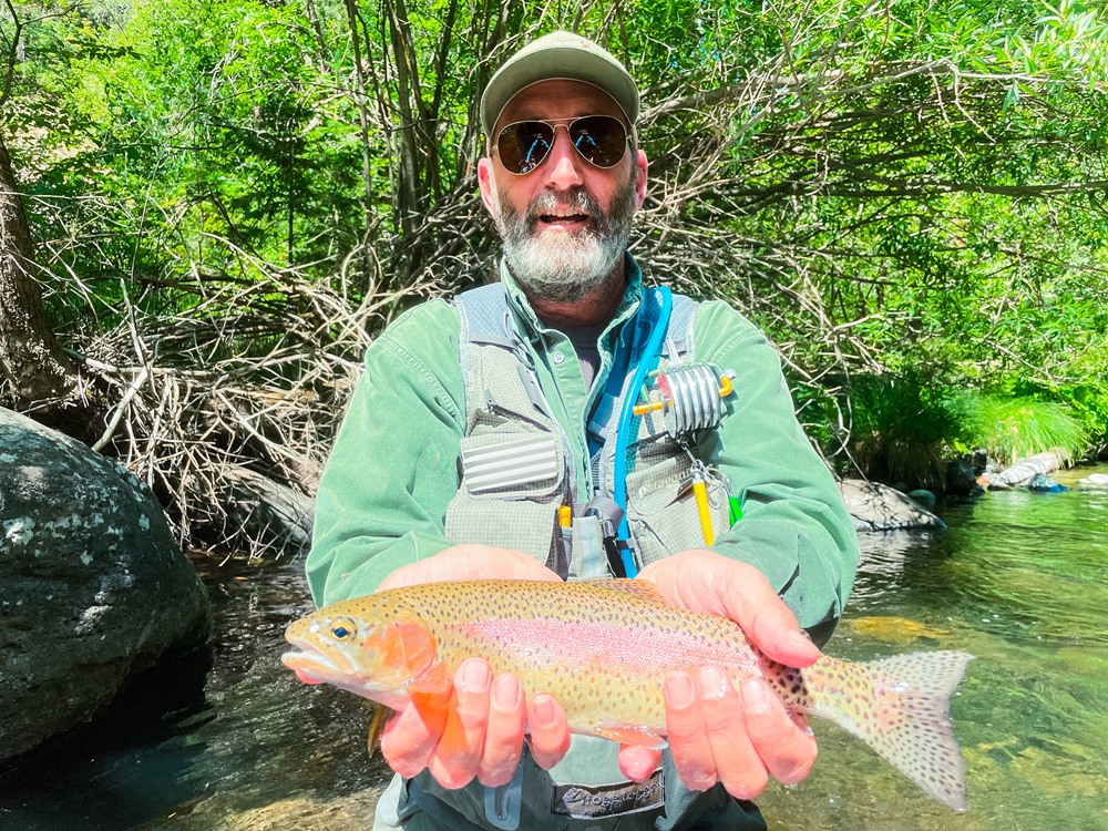 These Upper Sac trout pull hard!