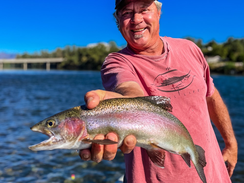 Early morning trout slab!