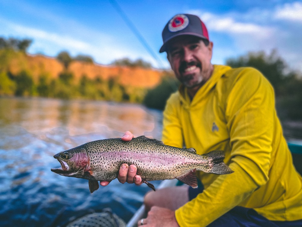Trout for days…