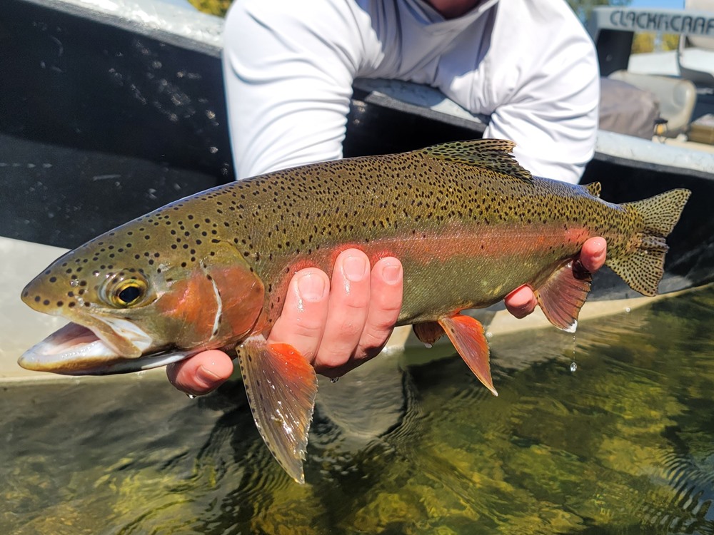 Fishing Report Image