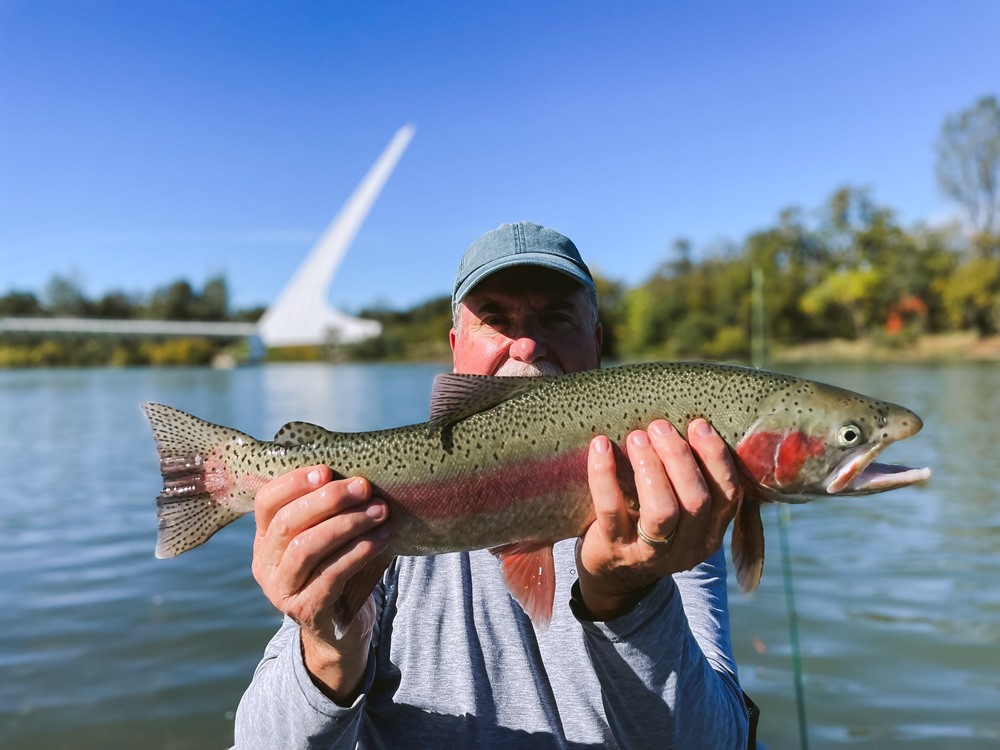 24.5 inches! We’ll take it! And no, not on an egg!