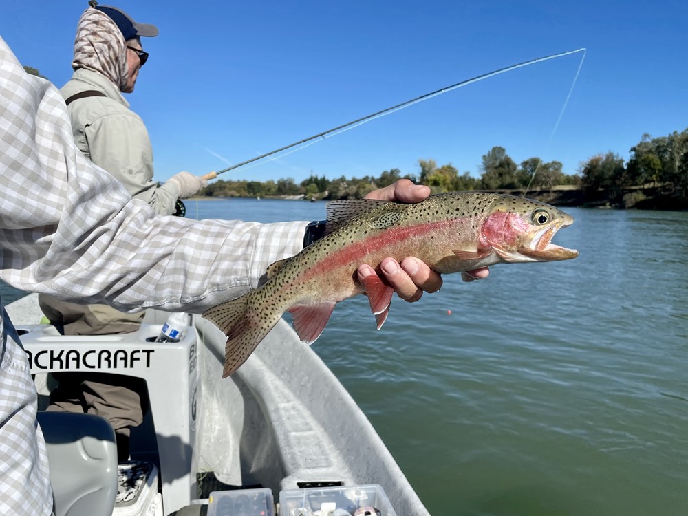 Fishing Report Image