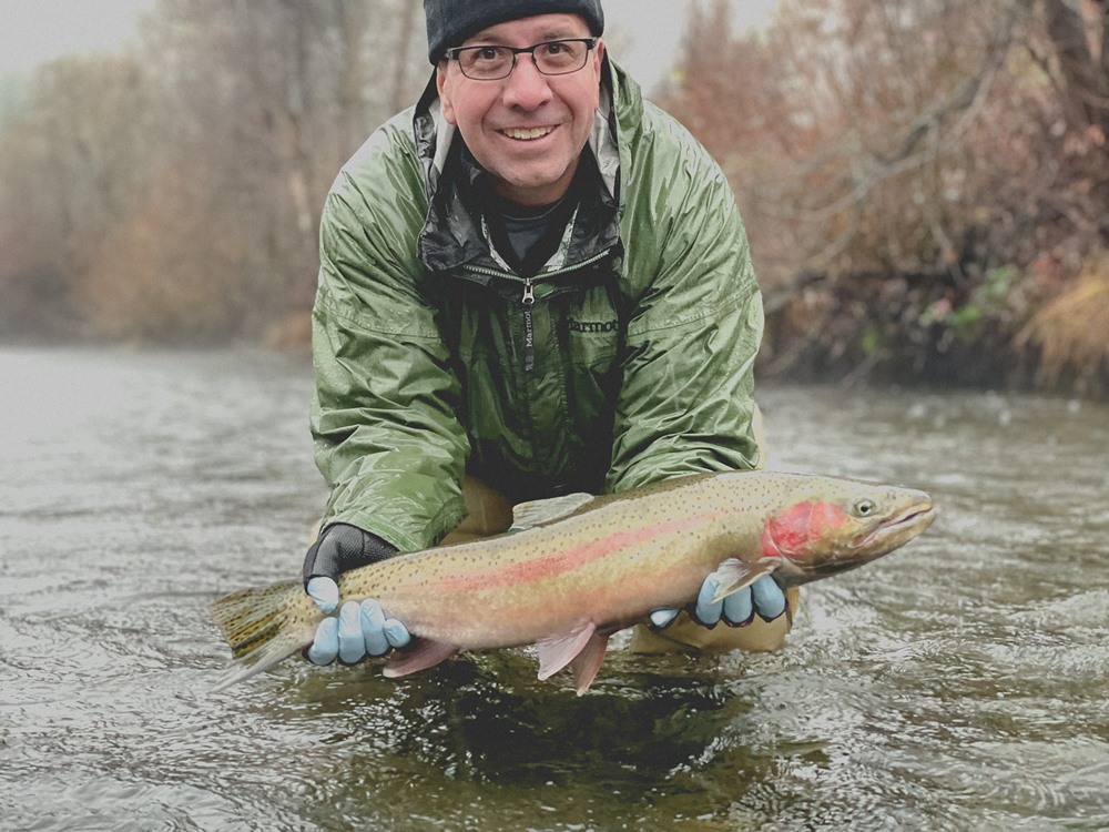 A gorgeous Trinity River steelhead