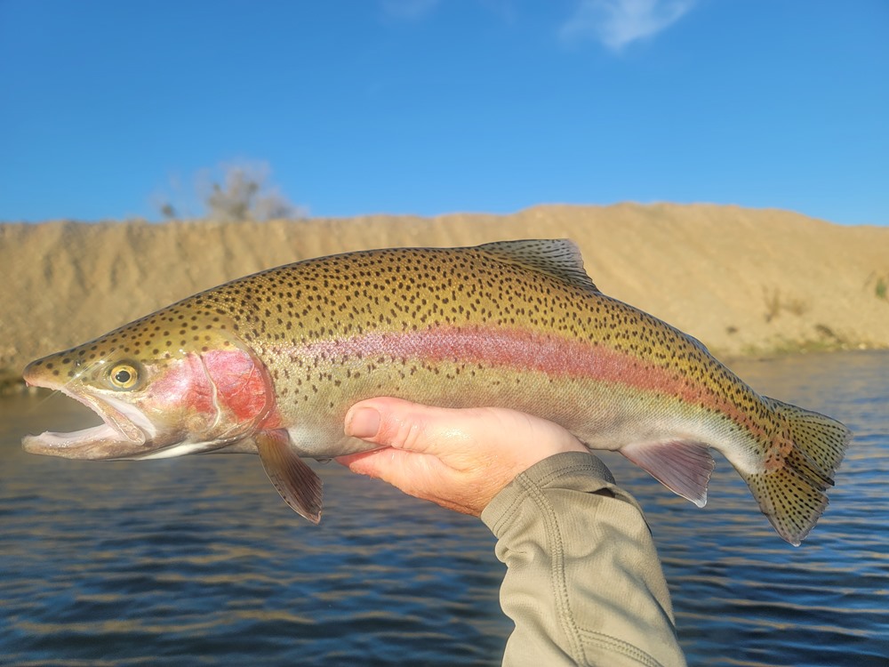 Fishing Report Image