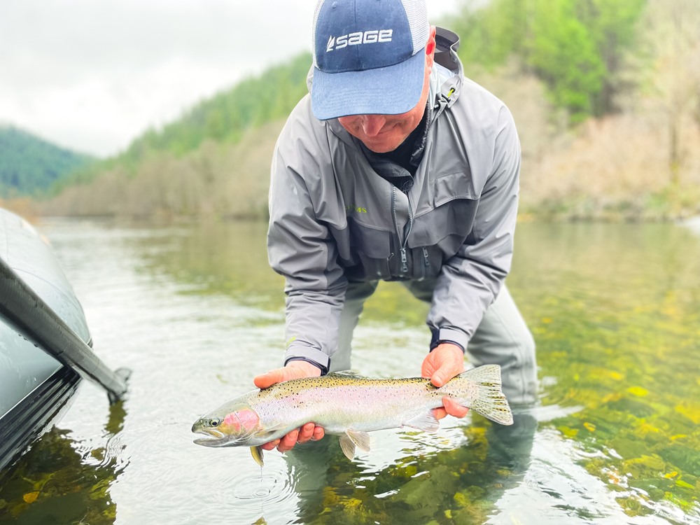 A steelhead caught on a dry fly is the ultimate experience!