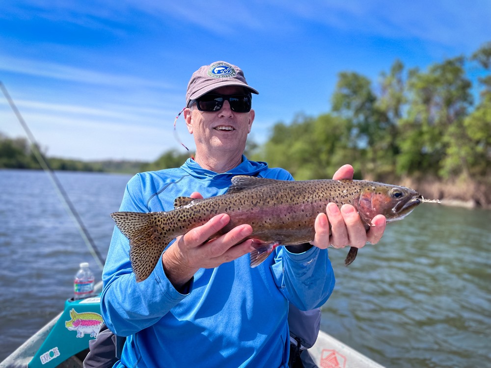 A caddis eating lower sac trout