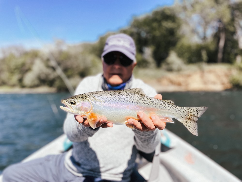 Dry flies work too!