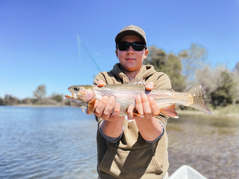 Another pretty fish…