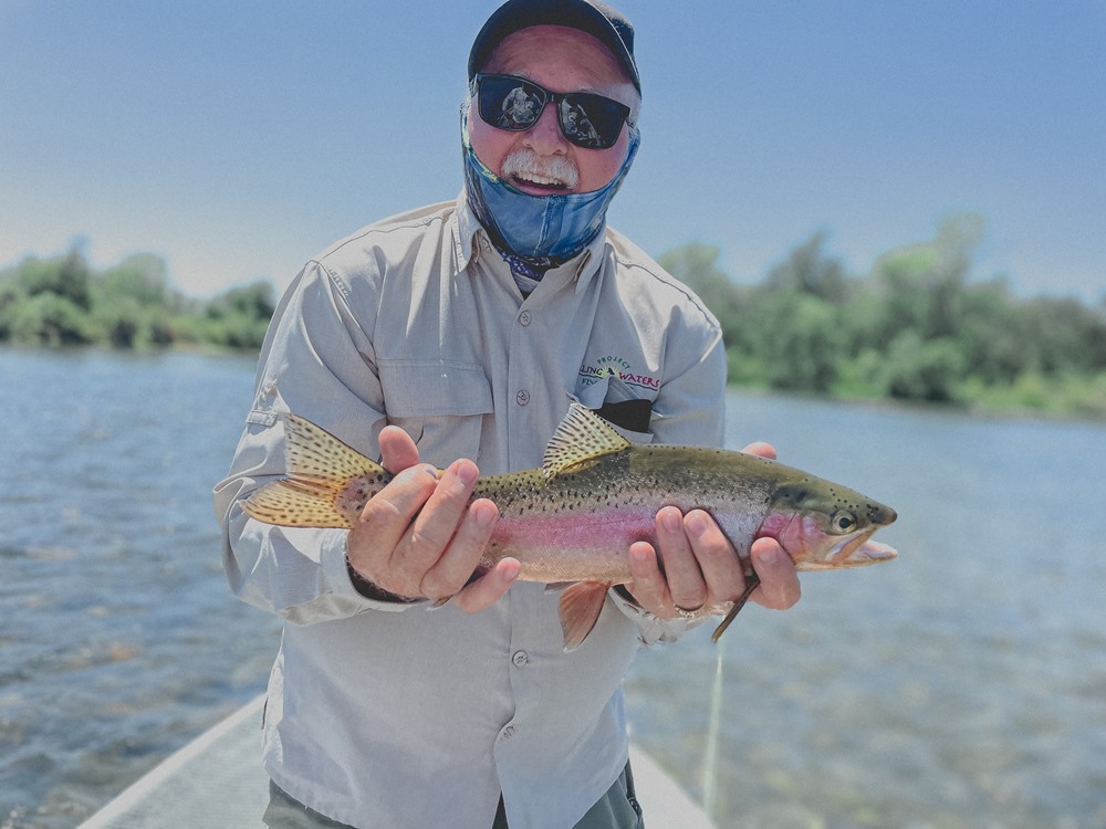 Pretty fish throughout the Lower Sac