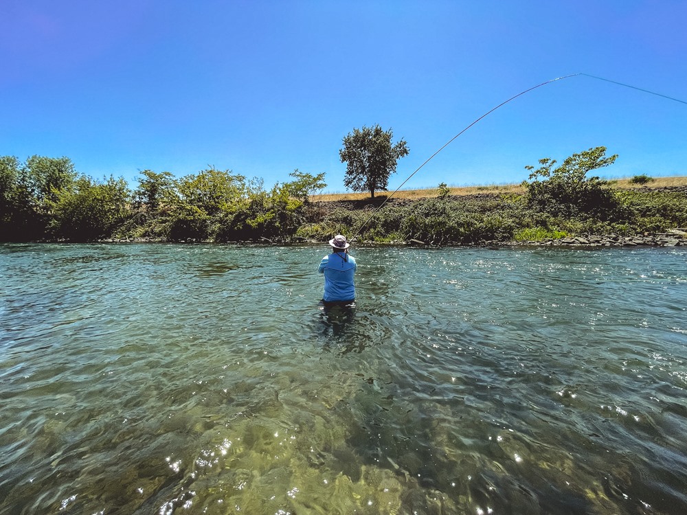 Throw some spey casts out there too!