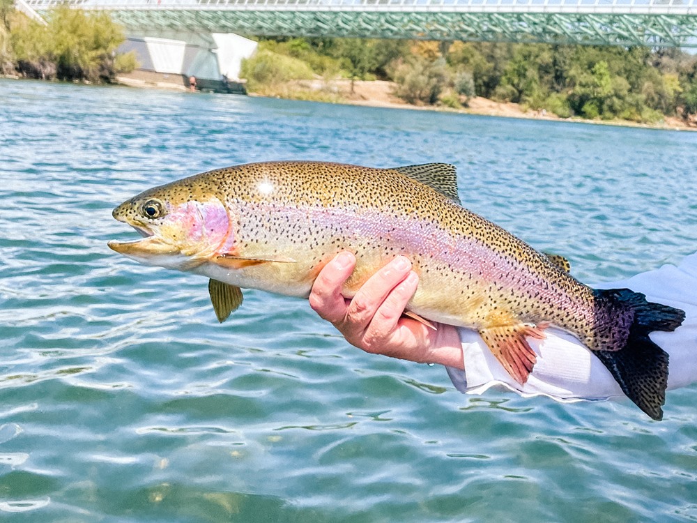 Fishing Report Image