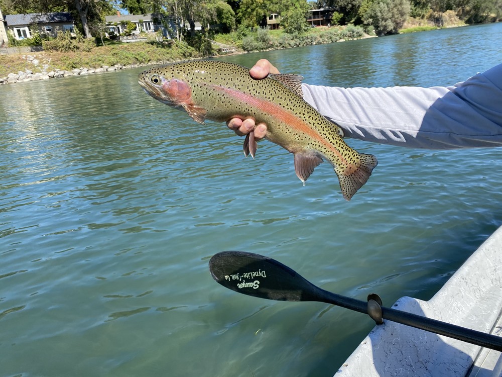 Fishing Report Image