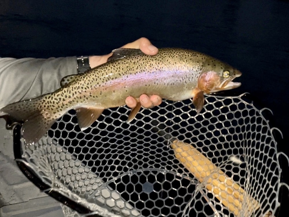 Fishing Report Image