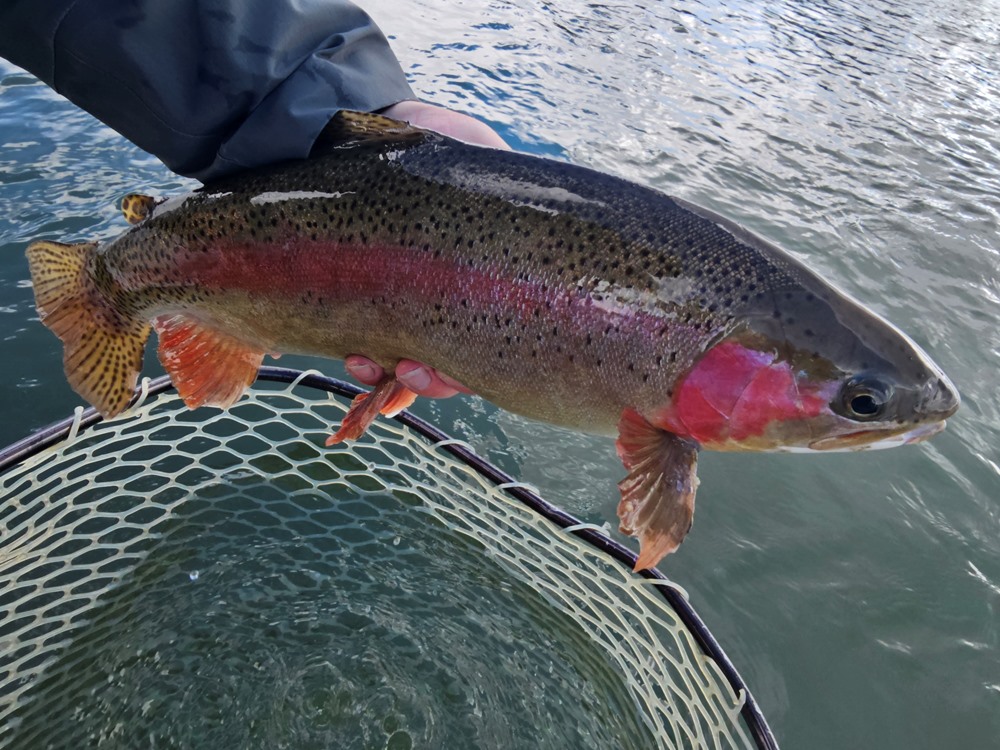 Fishing Report Image