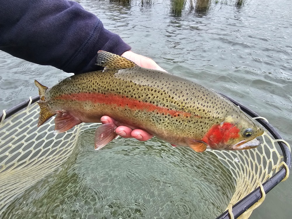 Fishing Report Image