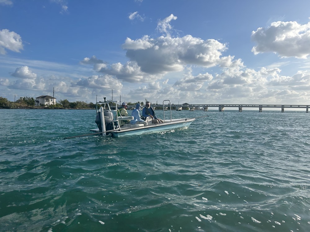 Andros South has the best boats