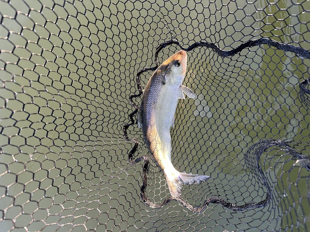 Fishing Report Image