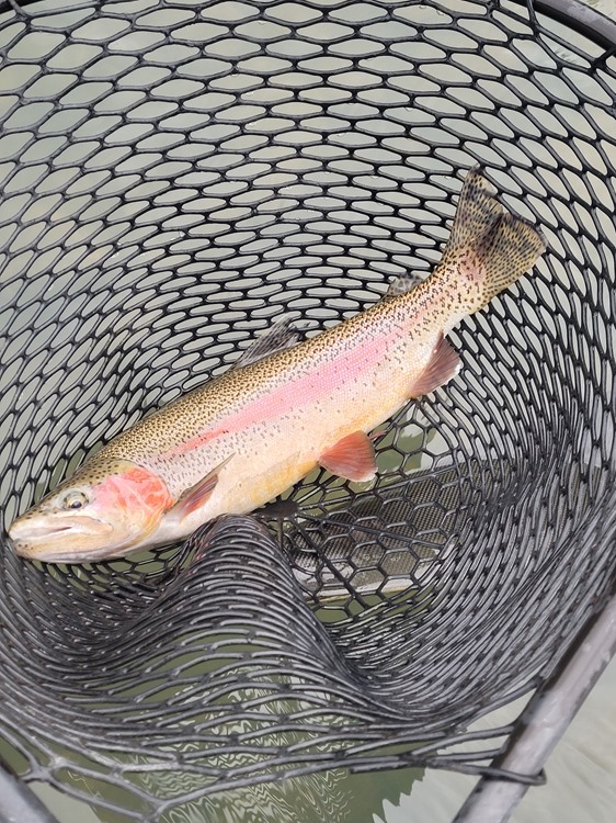 Fishing Report Image