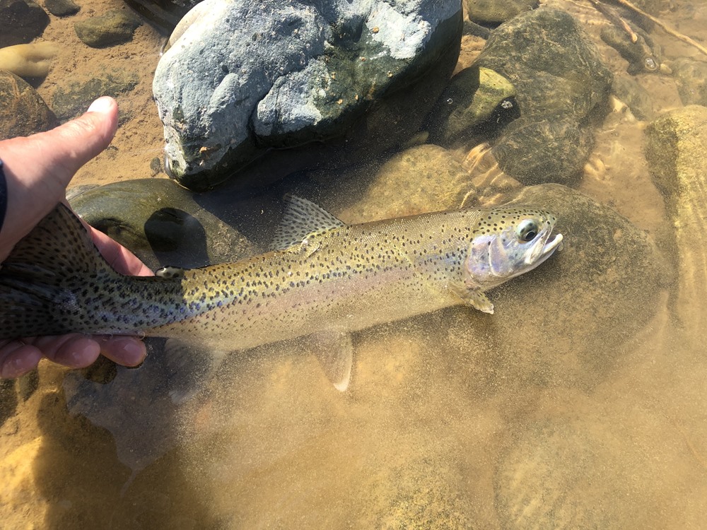 Fishing Report Image