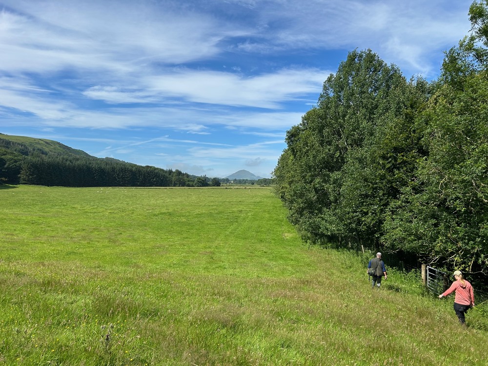 A view of the private estate alongside the river