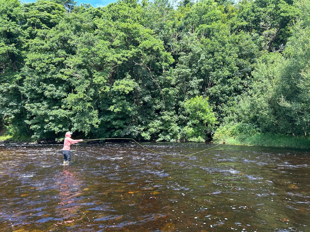Katie casting to an appealing spot
