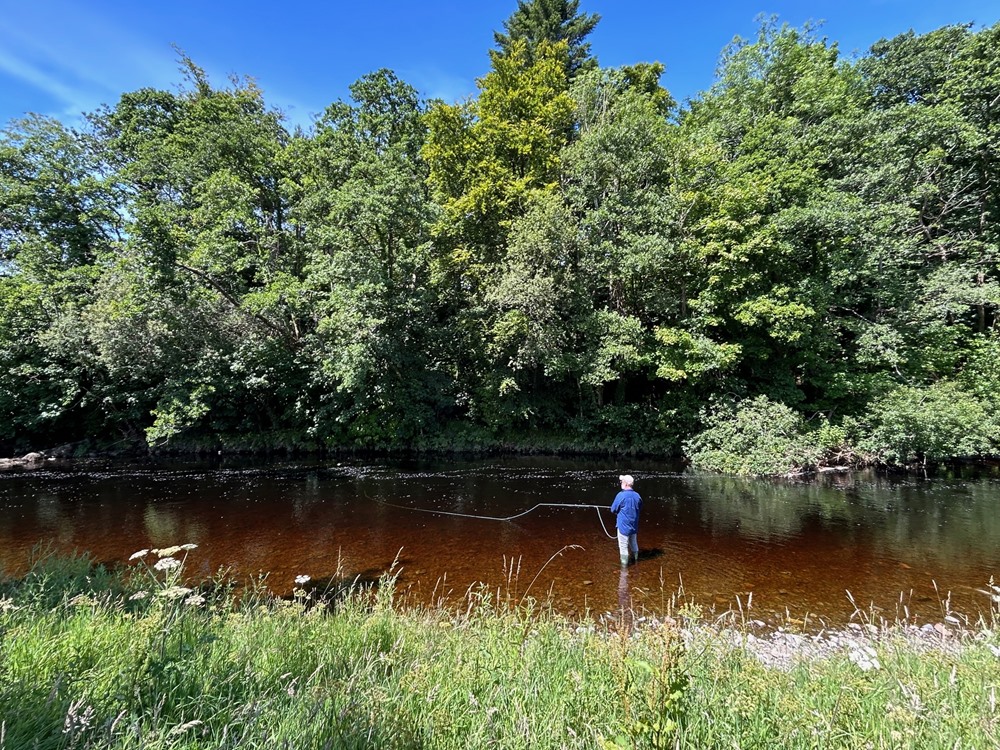 Notice the reddish tinge to the water