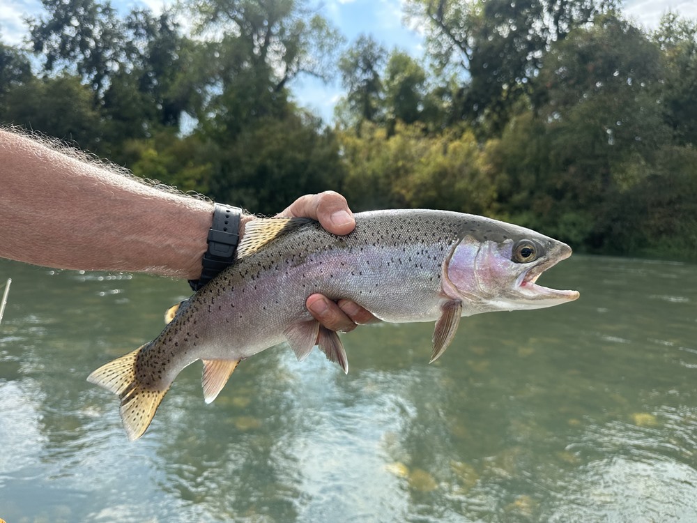 Fishing Report Image