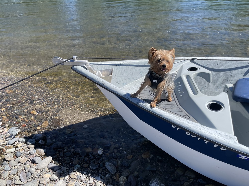 Minnie’s first boat ride