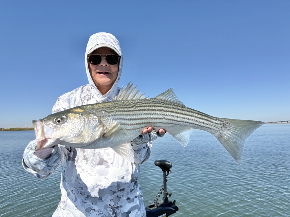 Fishing Report Image