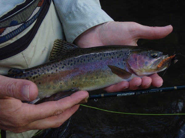 Fishing Report Image