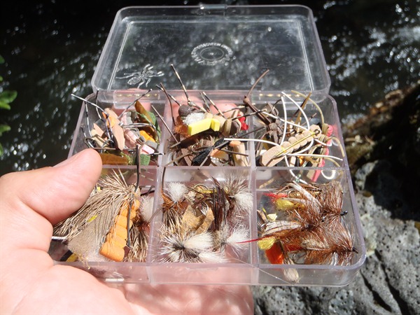 Fishing Report Image