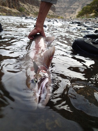 Pacific Northwest Fishing Image