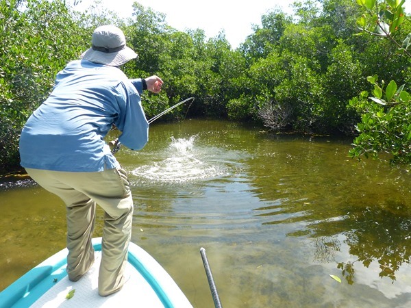 Hosted Travel Fishing Image