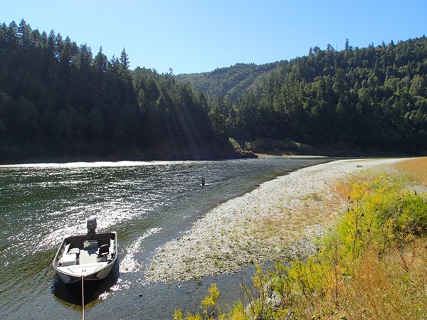 Fishing Report Image