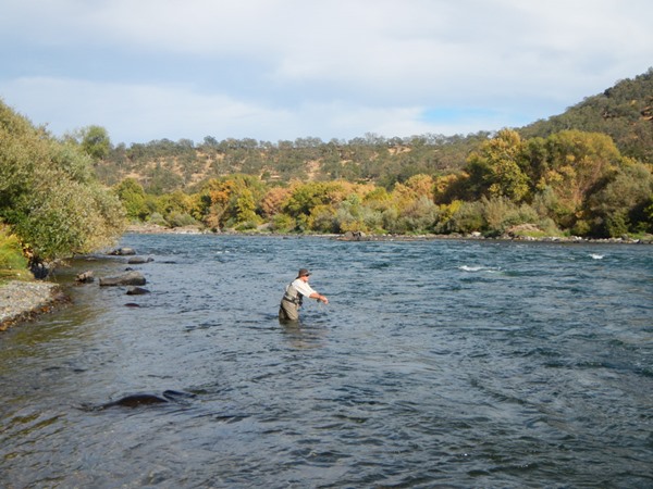 Fishing Report Image