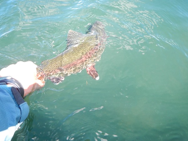 Fishing Report Image