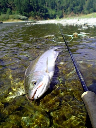 Fishing Report Image