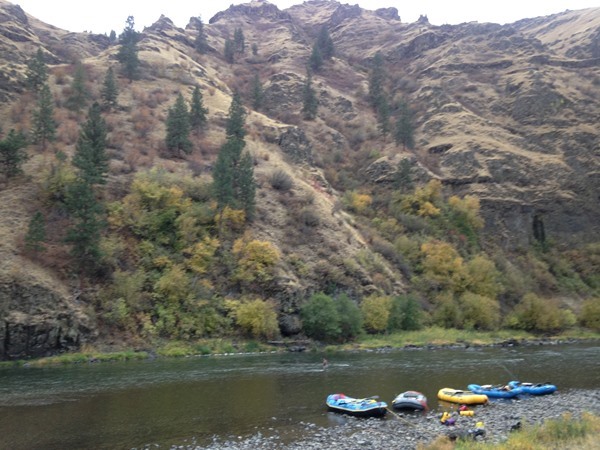 Out of Area Fishing Image