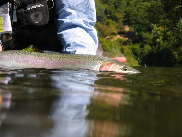 Pacific Northwest Fishing Image
