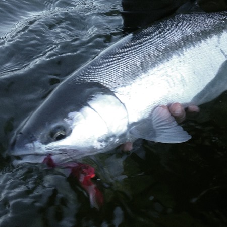 Pacific Northwest Fishing Image