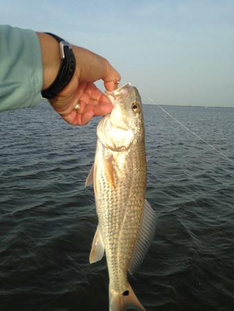 Out of Area Fishing Image